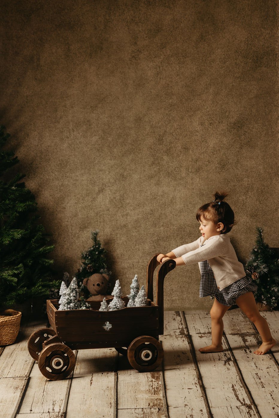 MINISESION DE FOTOS DE NAVIDAD 2025 - 48