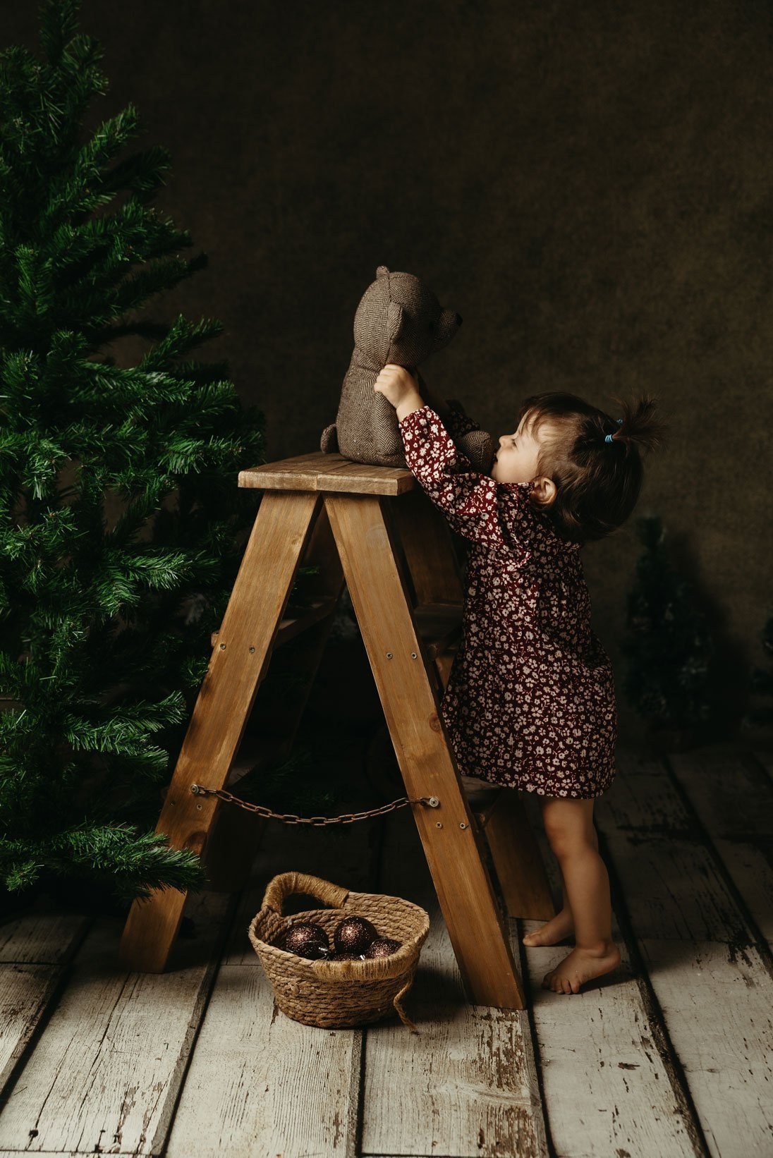 NAVIDAD-2524