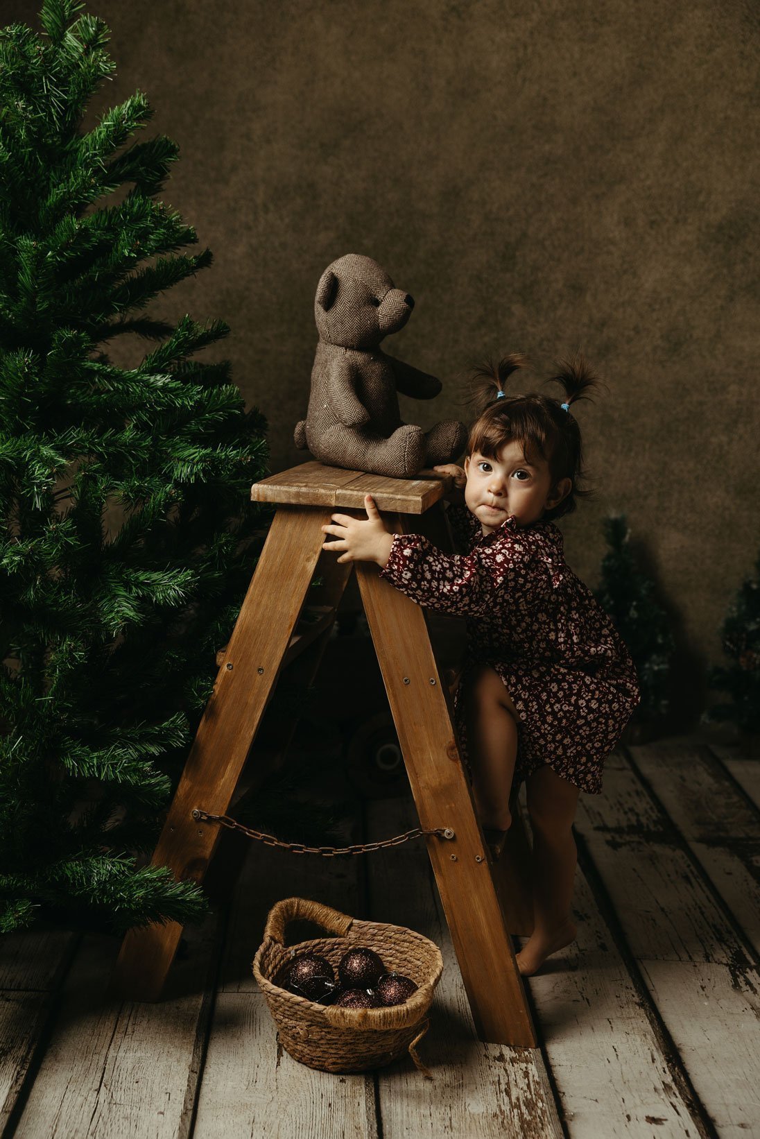 NAVIDAD-2528
